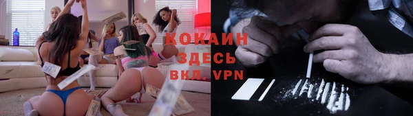 ешки Алексин