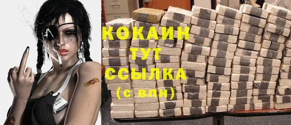 ГАЛЛЮЦИНОГЕННЫЕ ГРИБЫ Покровск