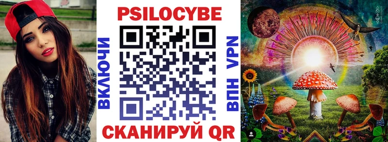 Галлюциногенные грибы Psilocybe Красавино